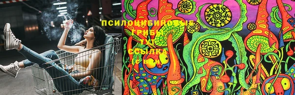 бошки Алексин
