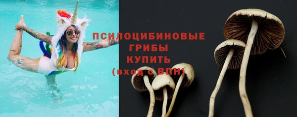 бошки Алексин
