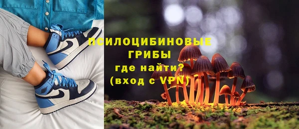 Альфа ПВП Абаза
