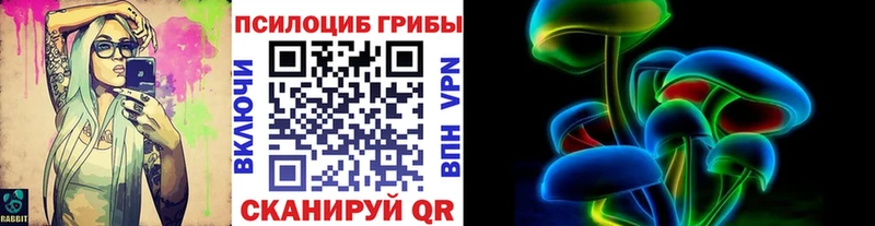 Галлюциногенные грибы Psilocybine cubensis  Россошь 